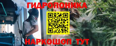 сатива Балахна