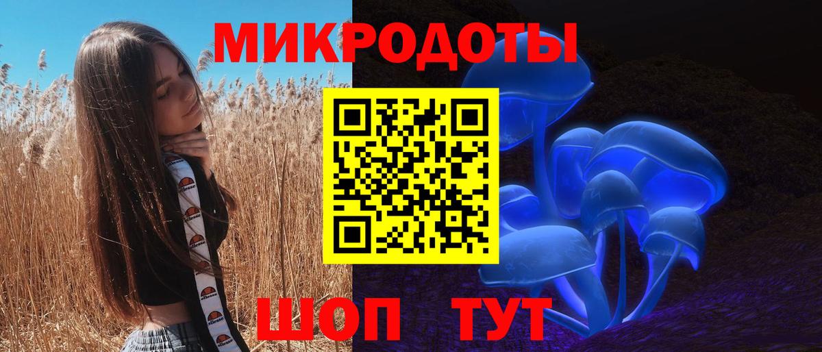 Галлюциногенные грибы мицелий  Псилоцибиновые грибы мицелий  Вход с VPN  Канск 